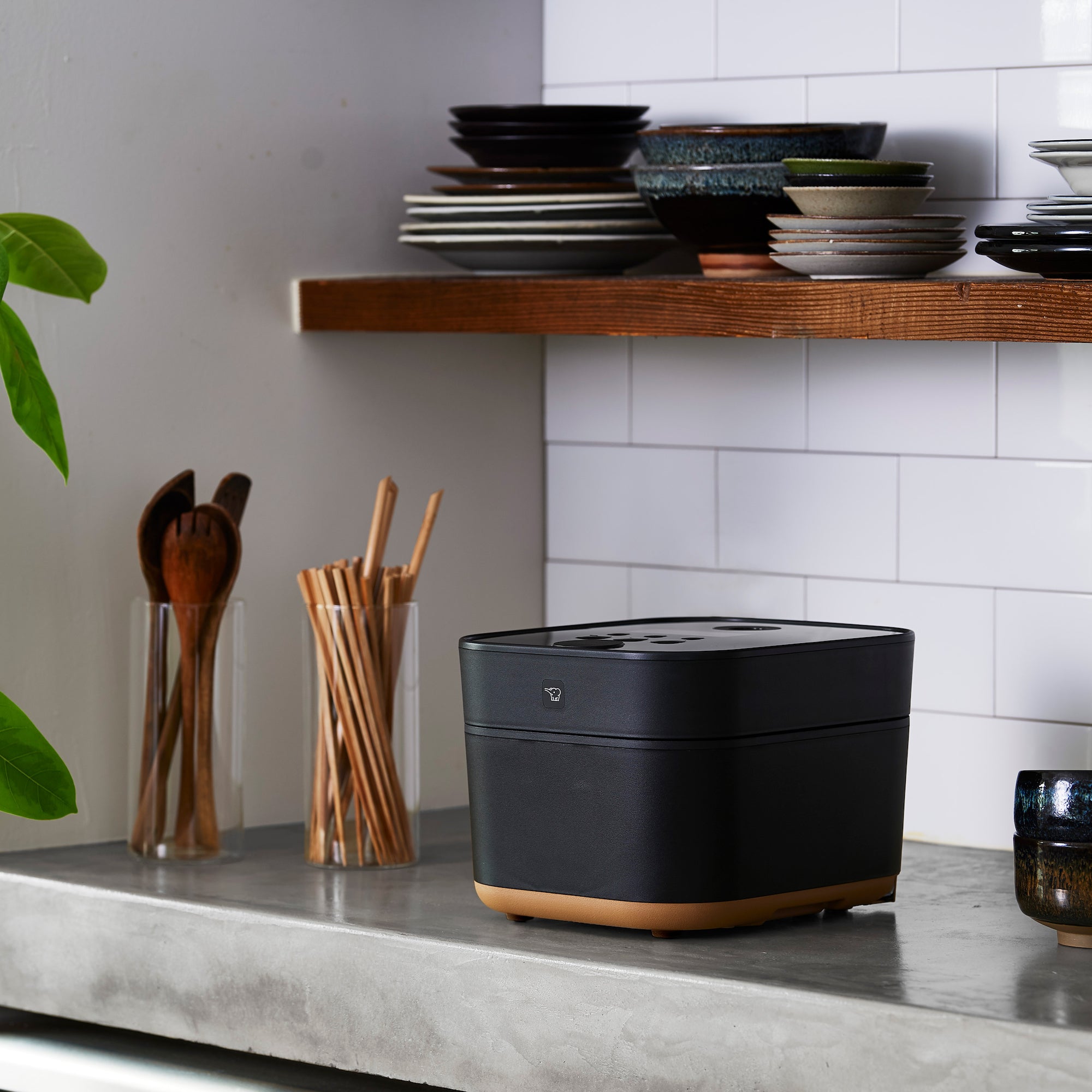 STAN. IH炊飯ジャー