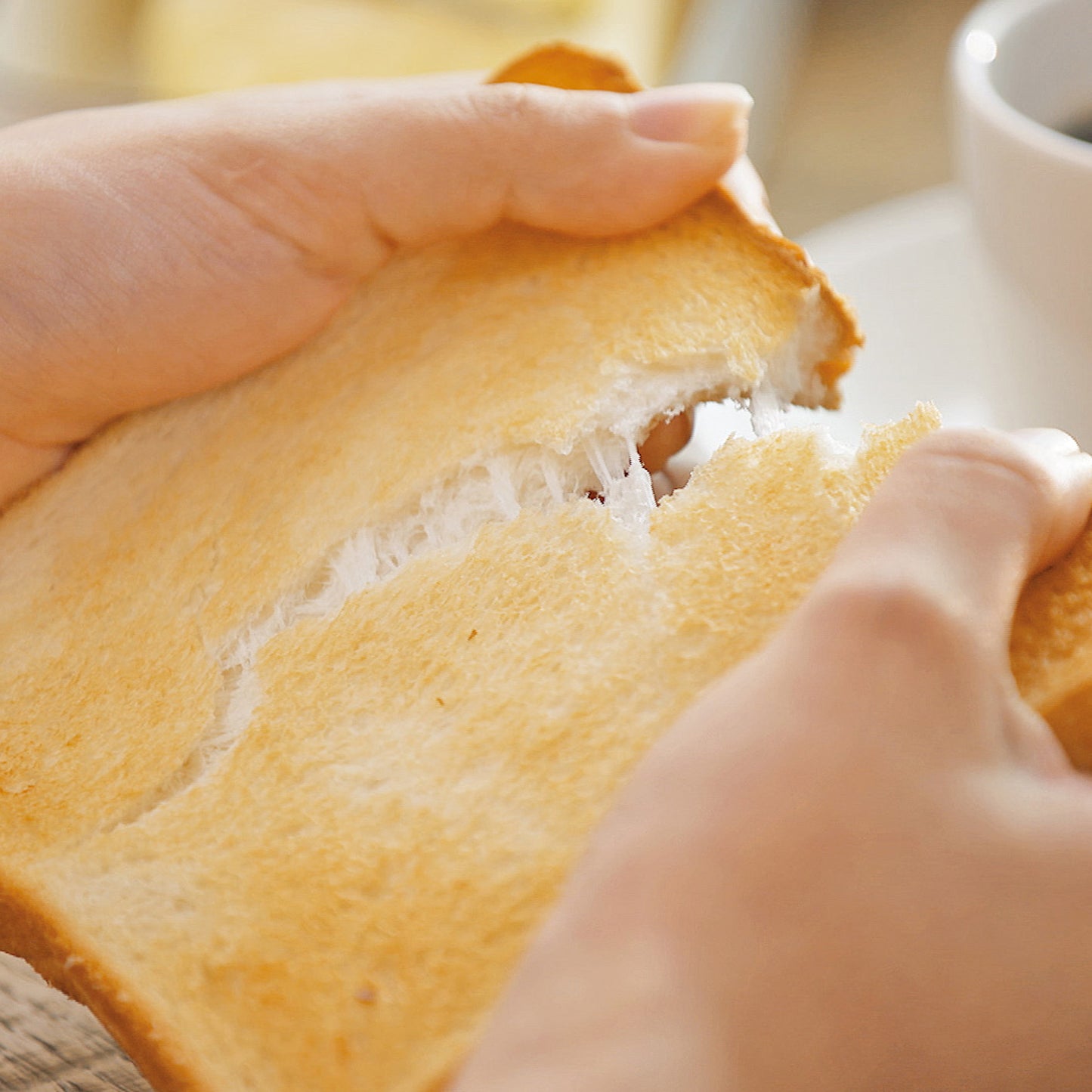 STAN. オーブントースター