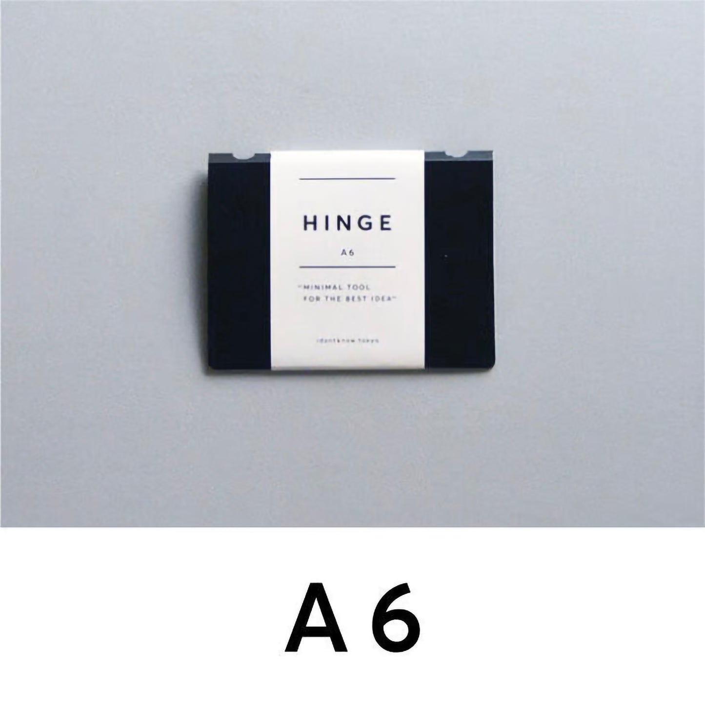 HINGE A6