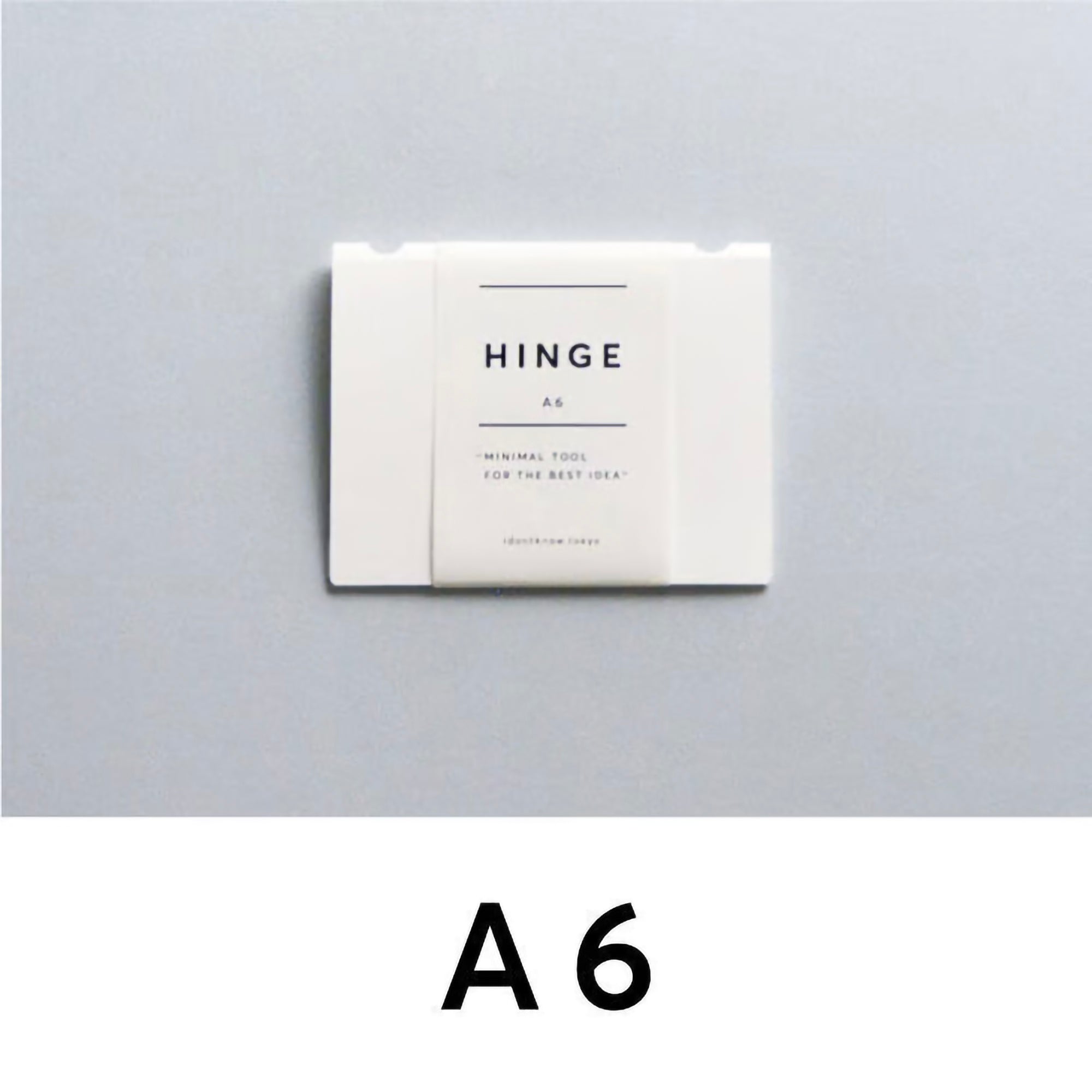 HINGE A6